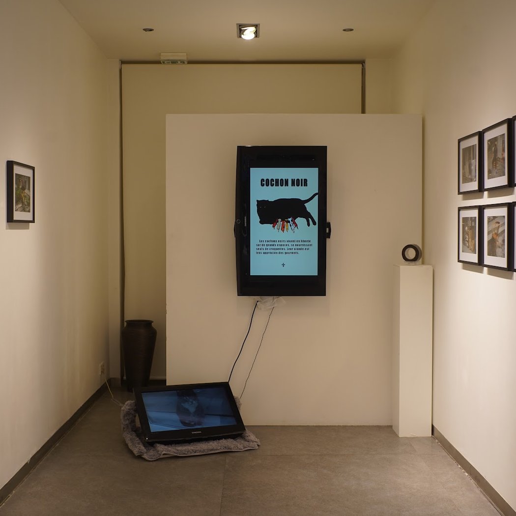 Galerie Paris Horizon 3